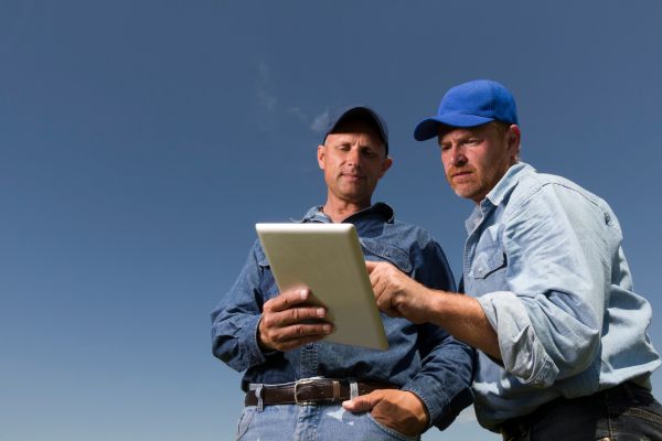 Client collaboration